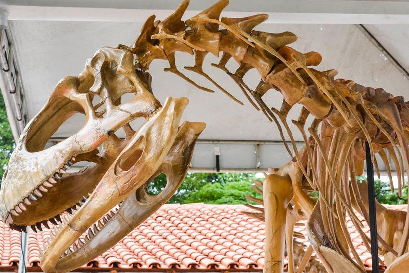 Pycnonemosaurus nevesi, ou dinossauro de mata fechada, viveu onde hoje fica o Estado de Mato Grosso   Imagem: Tchélo Figueiredo