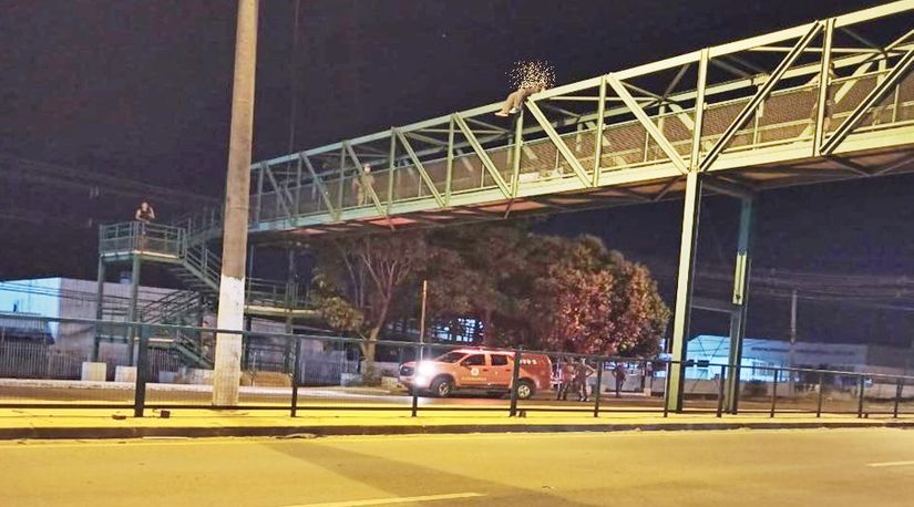 Imagem: Reprodução