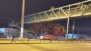 Imagem: Reprodução