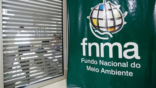 Imagem: Reprodução / G1