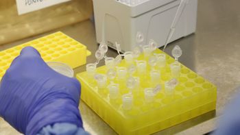 Divulgação/Josué Damacena (IO