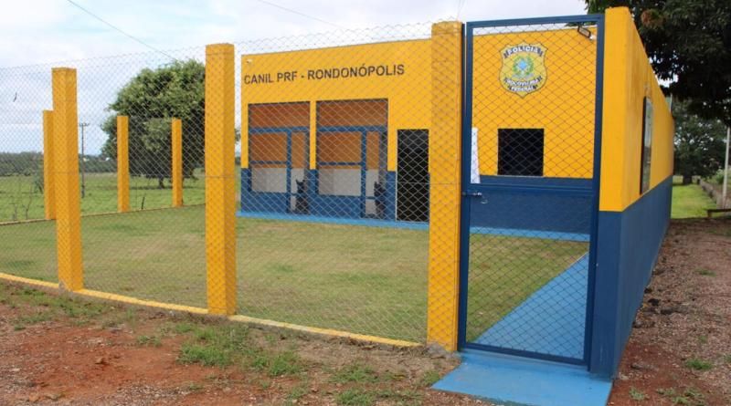 Foto: divulgação PRF/MT