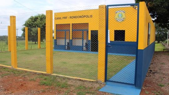 Foto: divulgação PRF/MT