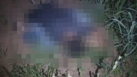 Imagem: Reprodução