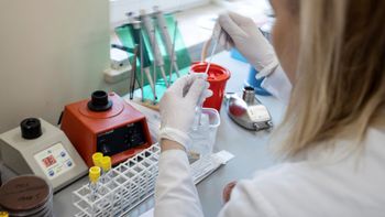 Foto: Reuterz/Agência Gazeta/Lukasz Cynalews