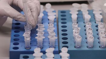 Imagem: Reprodução / Reuters / Yves Herman