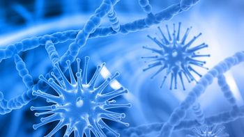 Imagem: Reprodução