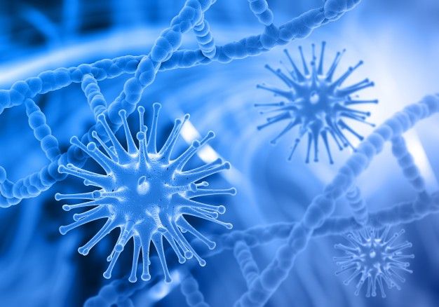 Imagem: Reprodução