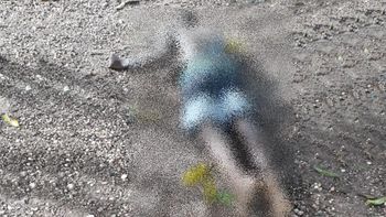 Imagem: Reprodução