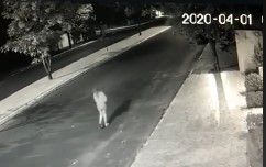 Imagem: Reprodução