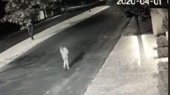 Imagem: Reprodução