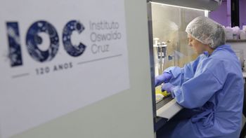 Foto: divulgação/Josué Damacena (IOC/Fiocruz)