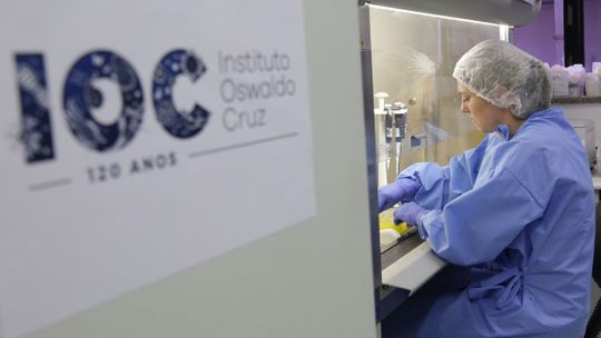 Foto: divulgação/Josué Damacena (IOC/Fiocruz)