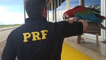 Imagem: Divulgação / Assessoria