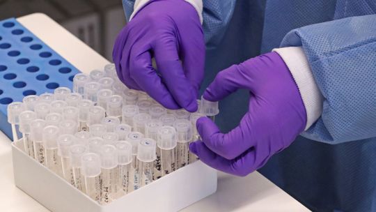 Foto: Yves Herman