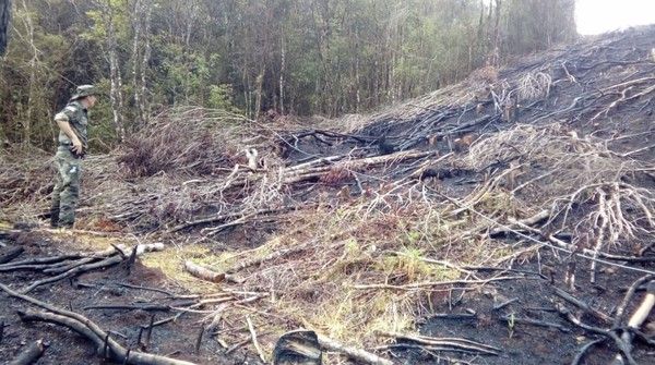 Imagem: Reprodução / G1