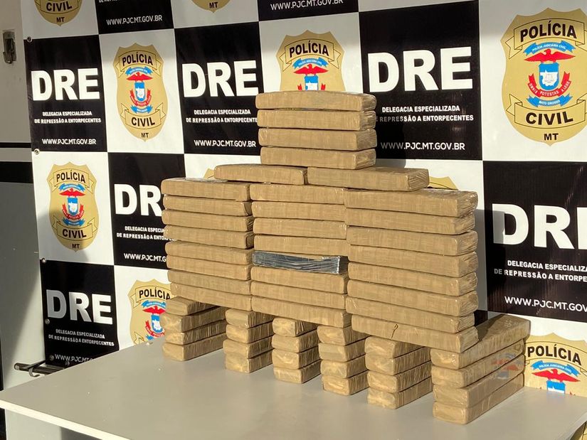 Divulgação
