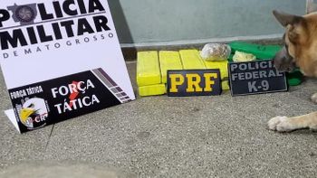 Foto: divulgação PM/MT