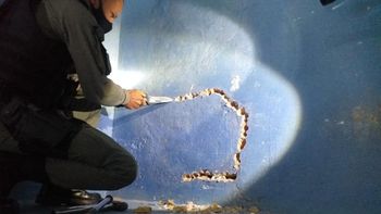Foto: divulgação Sistema Penitenciário/MT