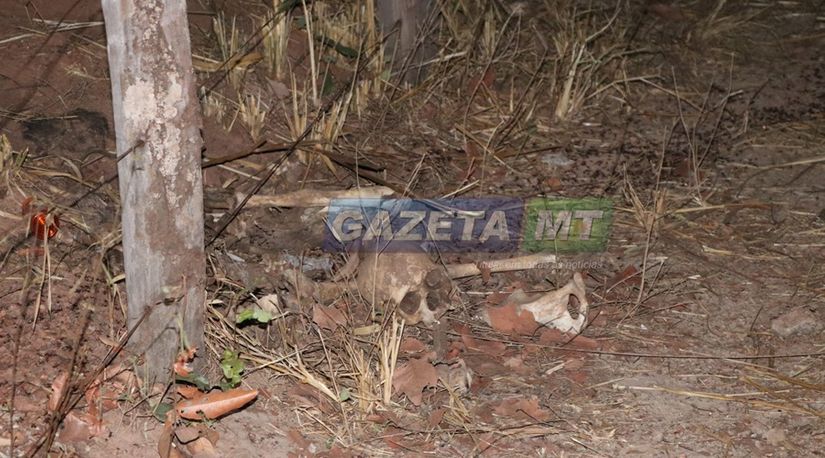 Foto:Messias Filho / Gazeta MT