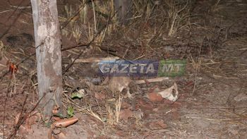 Foto:Messias Filho / Gazeta MT