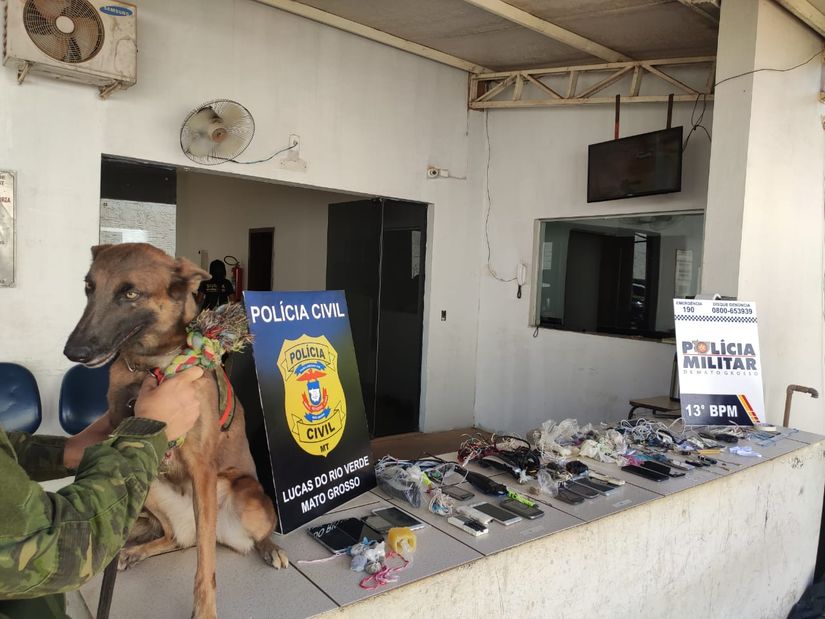 Foto: divulgação PM/MT
