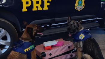 Foto: divulgação PRF/MT