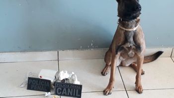 Foto: divulgação Polícia Penal