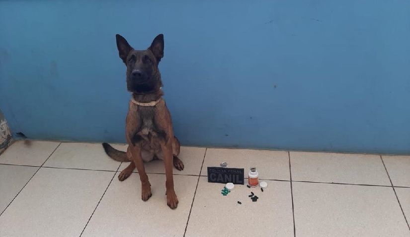 Foto: divulgação Sistema Penitenciário/MT