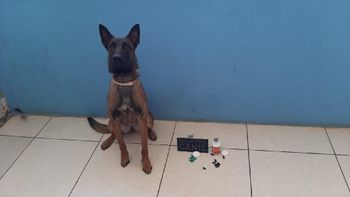 Foto: divulgação Sistema Penitenciário/MT