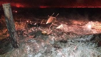 Imagem: Reprodução