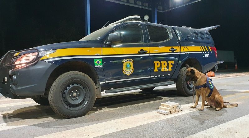 Foto: divulgação PRF/MT