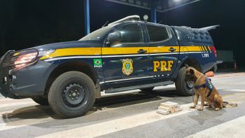 Foto: divulgação PRF/MT