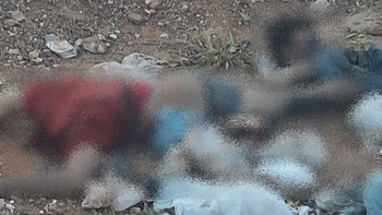 Imagem: Reprodução