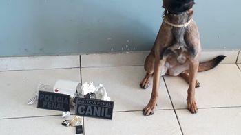 Imagem: Divulgação / Assessoria