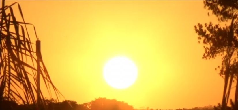 Foto: TV Rio Sul