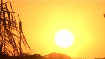 Foto: TV Rio Sul