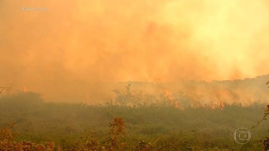 Imagem: Reprodução / G1