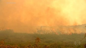 Imagem: Reprodução / G1