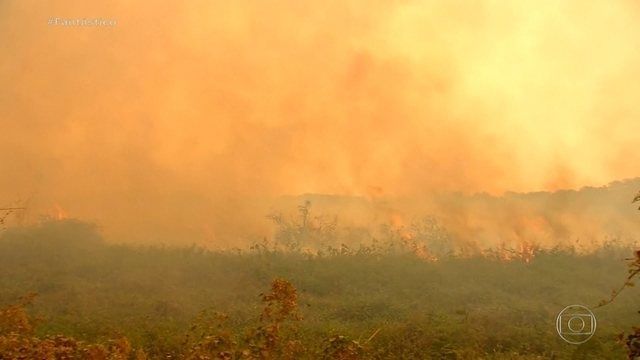 Imagem: Reprodução / G1