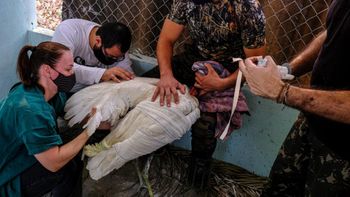 Foto: Mayke Toscano - SECOM/MT