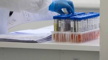 Imagem: Reprodução