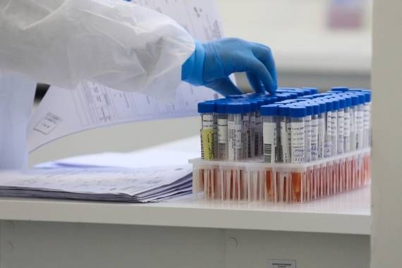 Imagem: Reprodução