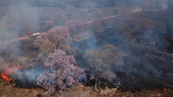 Imagem: Reprodução / Amanda Perobelli/Reuters