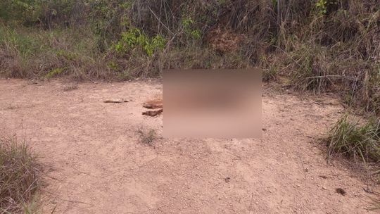 Imagem: Reprodução / Nortão Online
