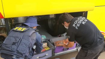 Foto: divulgação PRF/MT