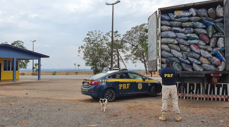 Foto: divulgação PRF/MT