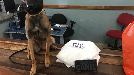 Foto: divulgação Sistema Penitenciário/MT