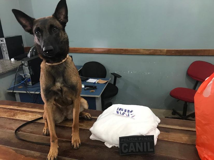 Foto: divulgação Sistema Penitenciário/MT