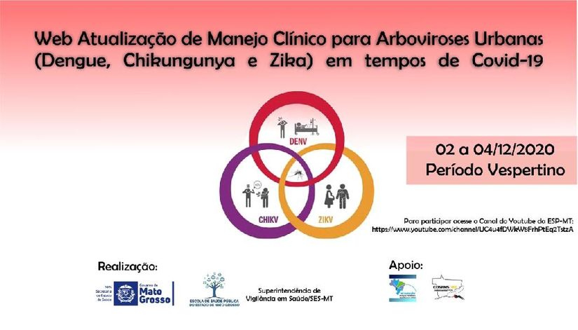 “Manejo Clínico para Arboviroses Urbanas (Dengue, Chikungunya e Zika) em tempos de Covid-19”. (Foto: ESP-SES-MT)